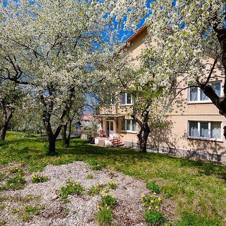 Ferienwohnung Casa Cu Cires Brașov Exterior foto
