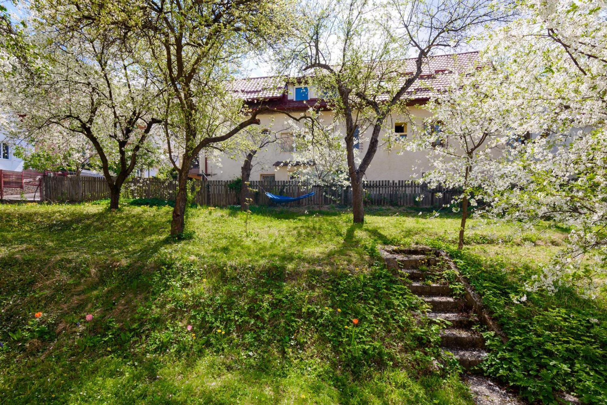 Ferienwohnung Casa Cu Cires Brașov Exterior foto