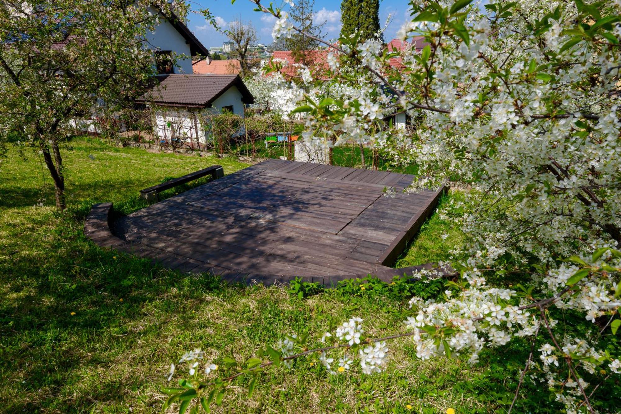 Ferienwohnung Casa Cu Cires Brașov Exterior foto