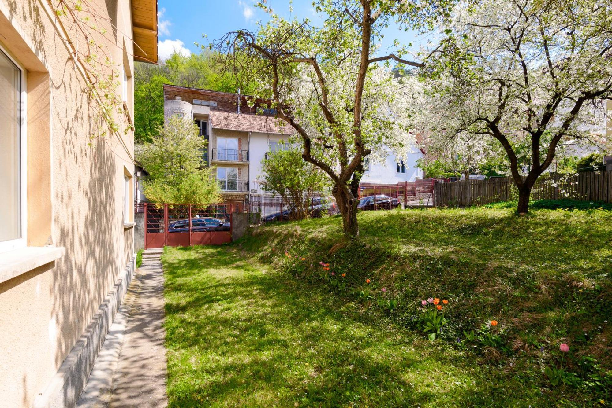 Ferienwohnung Casa Cu Cires Brașov Exterior foto