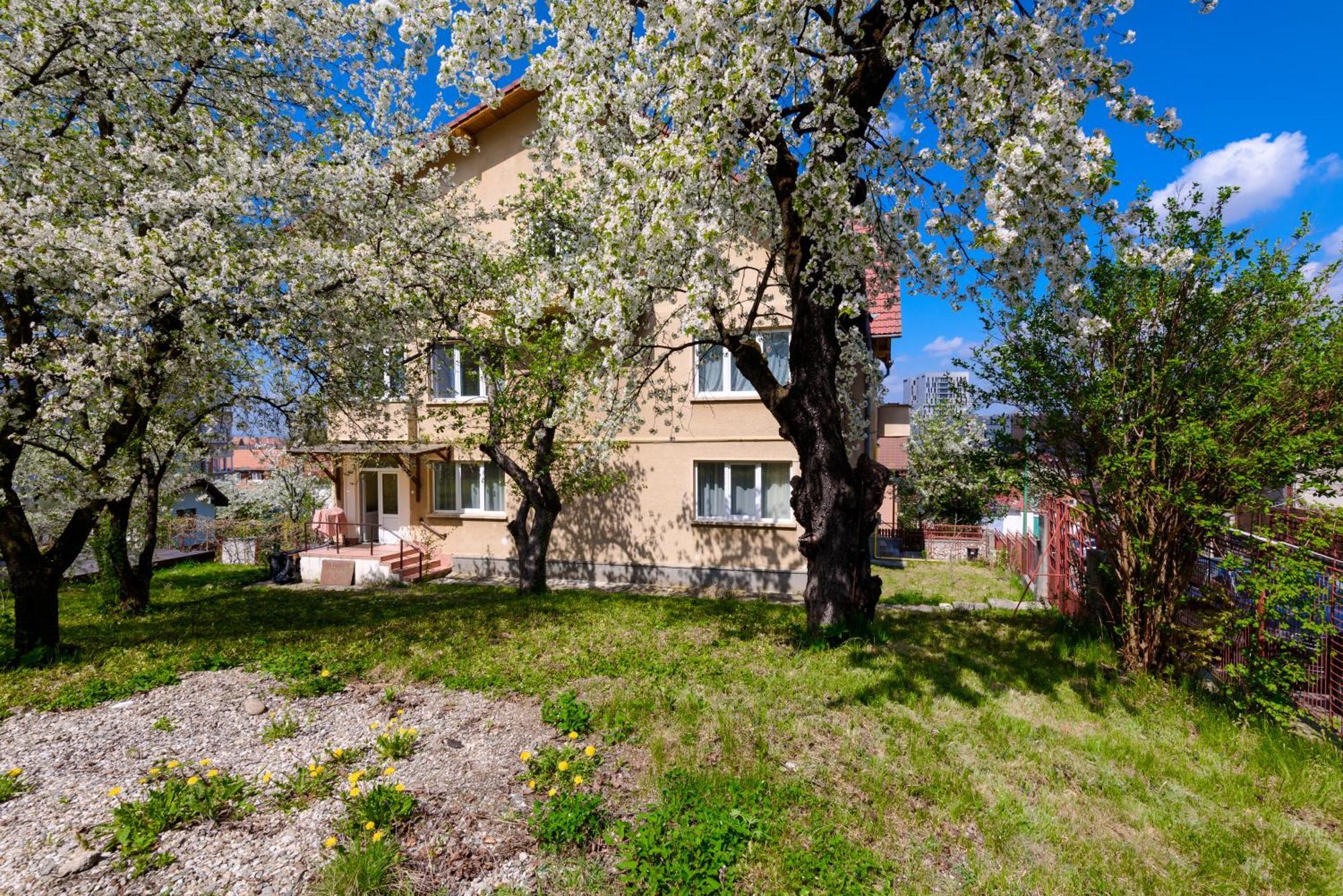 Ferienwohnung Casa Cu Cires Brașov Exterior foto